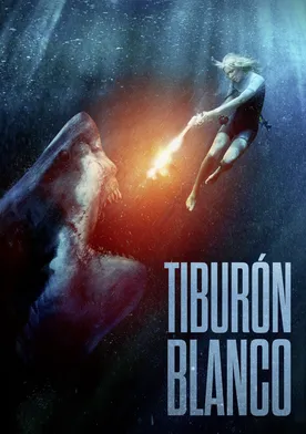 Poster Gran tiburón blanco