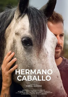 Poster Hermano caballo