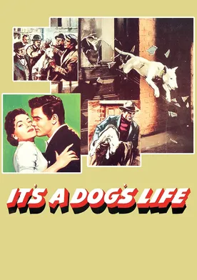 Poster It's a Dog's Life