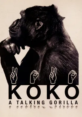 Poster Koko, le gorille qui parle