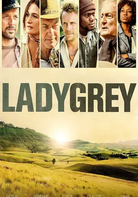 Poster Ladygrey