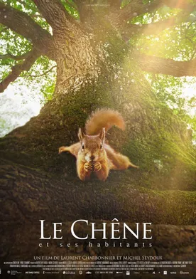 Poster Le chêne