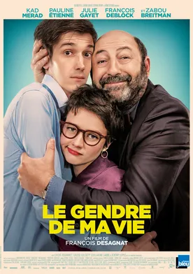 Poster Le gendre de ma vie