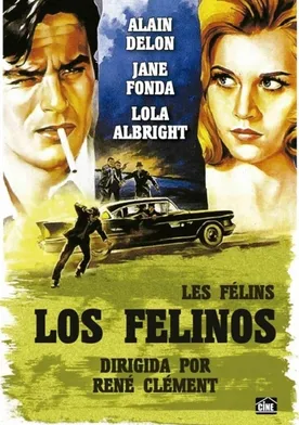 Poster Les félins