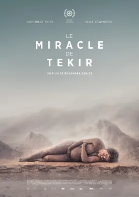 Poster Miracolul din Tekir