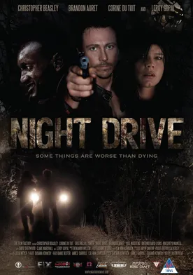 Poster Night Drive