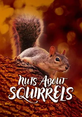 Poster Nuts About Squirrels