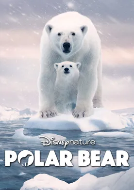 Poster Osa Polar