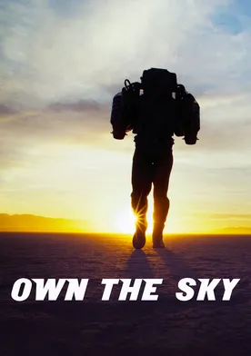 Poster Own the Sky