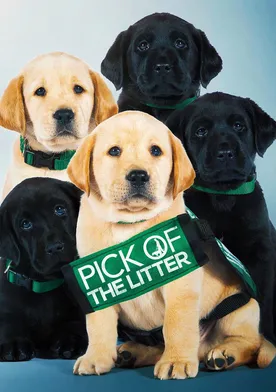 Poster Pick of the Litter