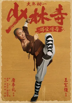 Poster Rising Shaolin: The Protector