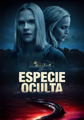 Poster Secreto oscuro