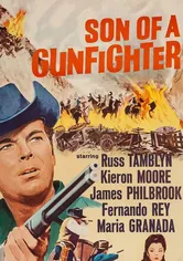 Poster Son of a Gunfighter