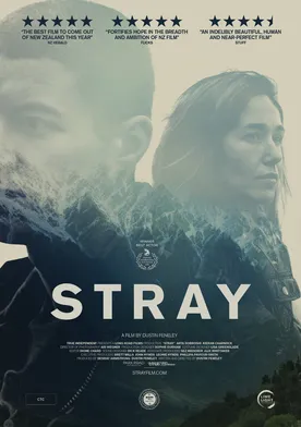 Poster Stray