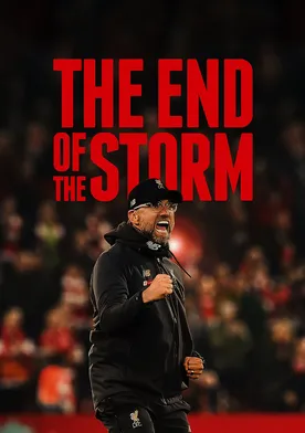 Poster The End of the Storm