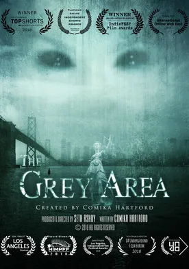 Poster The Grey Area