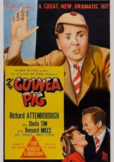 Poster The Guinea Pig