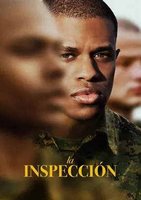 Poster The Inspection