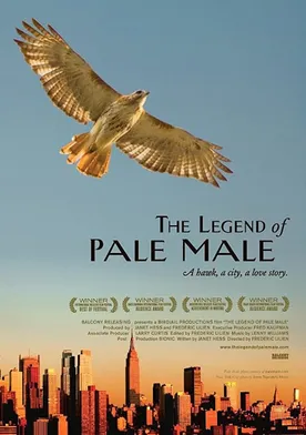 Poster The Legend of Pale Male