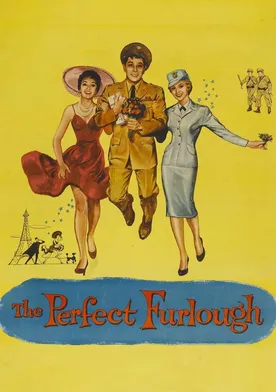 Poster The Perfect Furlough