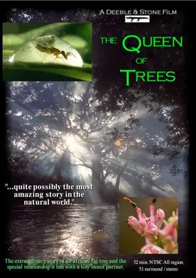 Poster The Queen of Trees