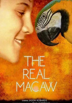 Poster The Real Macaw