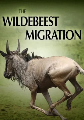 Poster The Wildebeest Migration