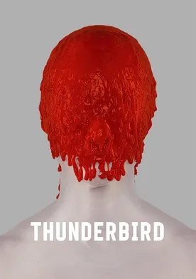 Poster Thunderbird