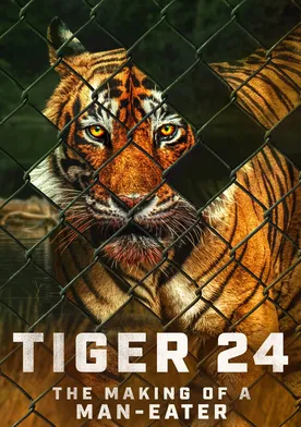 Poster Tiger 24