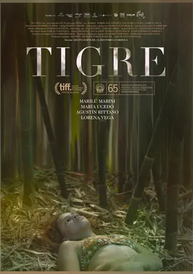 Poster Tigre