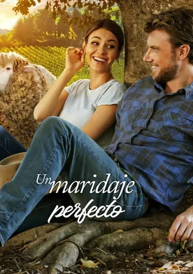 Poster Un maridaje perfecto