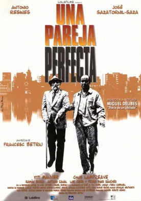 Poster Una pareja perfecta