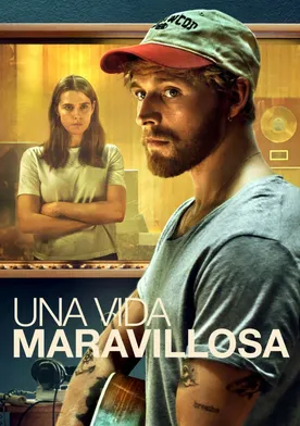 Poster Una vida maravillosa