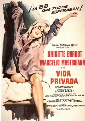 Poster Vie privée