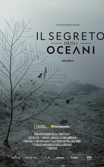 Poster Ocean's Breath