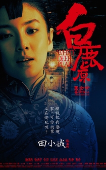 Poster Bai lu yuan