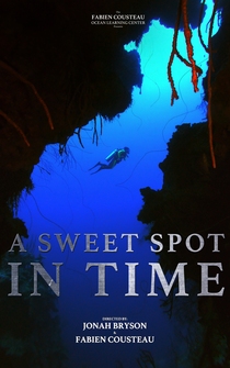 Poster A Sweet Spot in Time