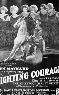 Poster Fighting Courage