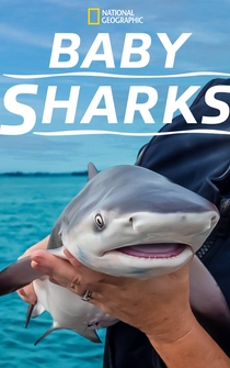 Poster Baby Sharks