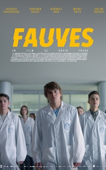 Poster Fauves