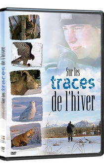 Poster Sur les traces de l'hiver