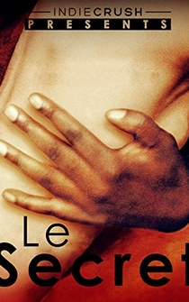 Poster de El secreto