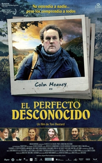 Poster de The Perfect Stranger