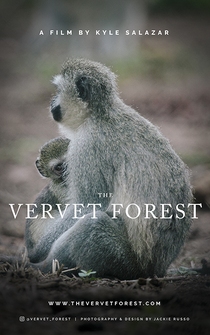 Poster The Vervet Forest