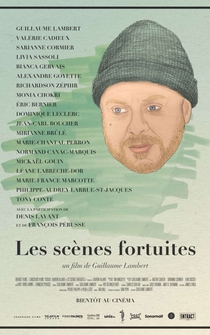 Poster Les scènes fortuites