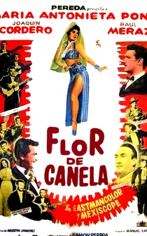 Poster Flor de canela