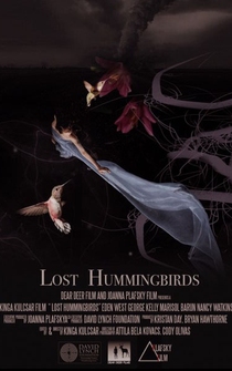 Poster Lost Hummingbirds