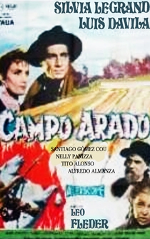 Poster Campo arado