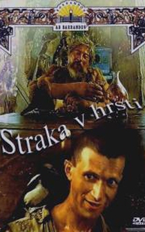 Poster Straka v hrsti