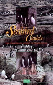 Poster Seabird Citadels